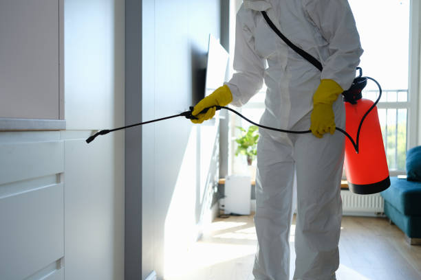 Mold Remediation for Vacation Homes in Strathmore, CA